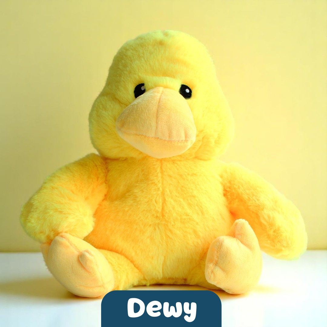 Dewy the Duck 🐤