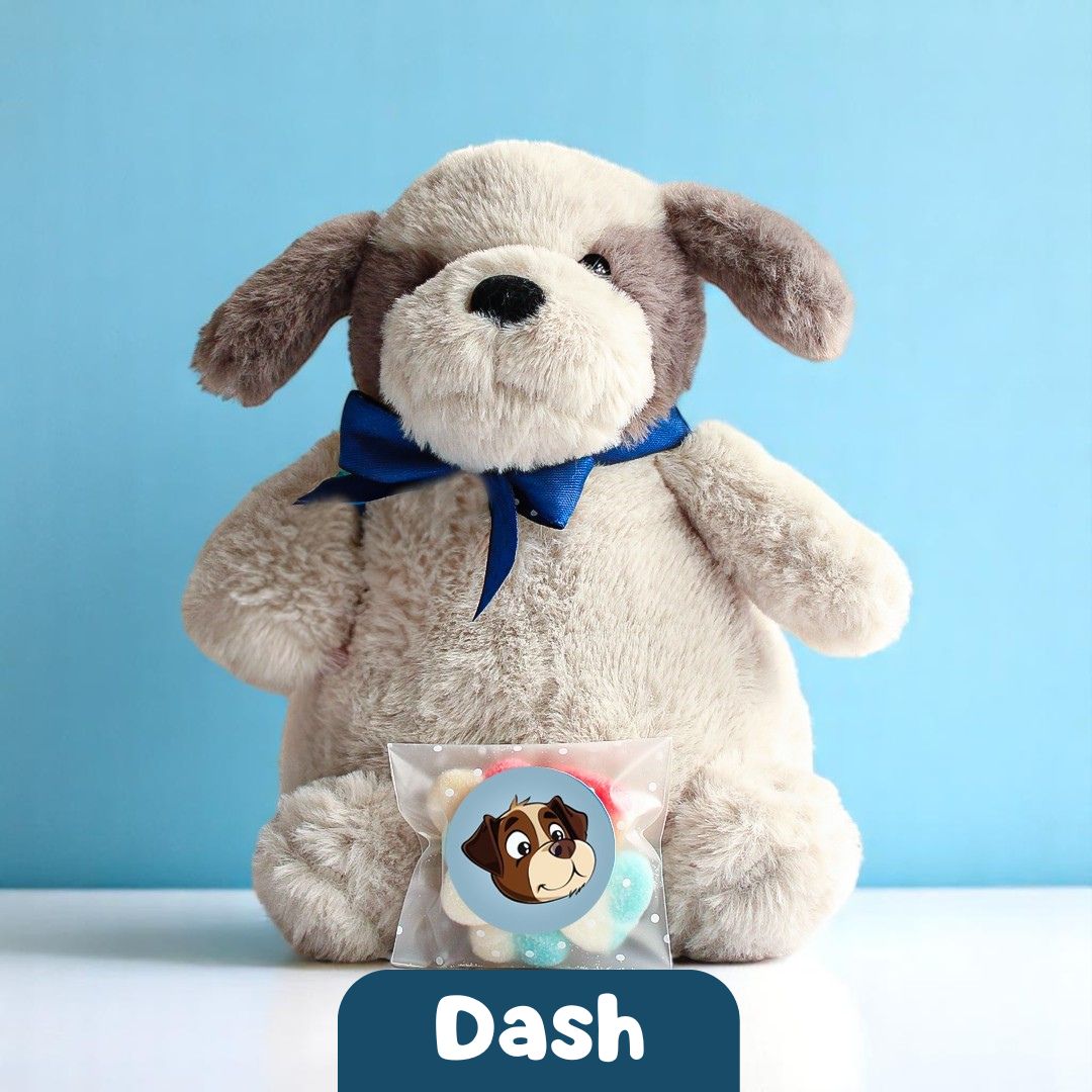 Dash the Dog 🐶