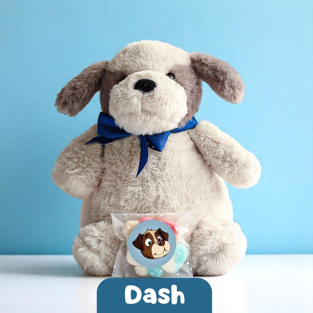 Dash the Dog
