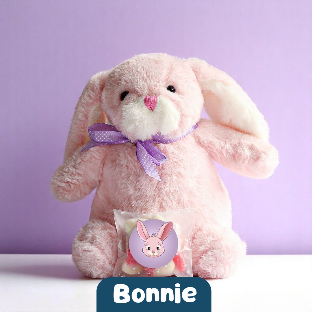 Bonnie the Bunny π°
