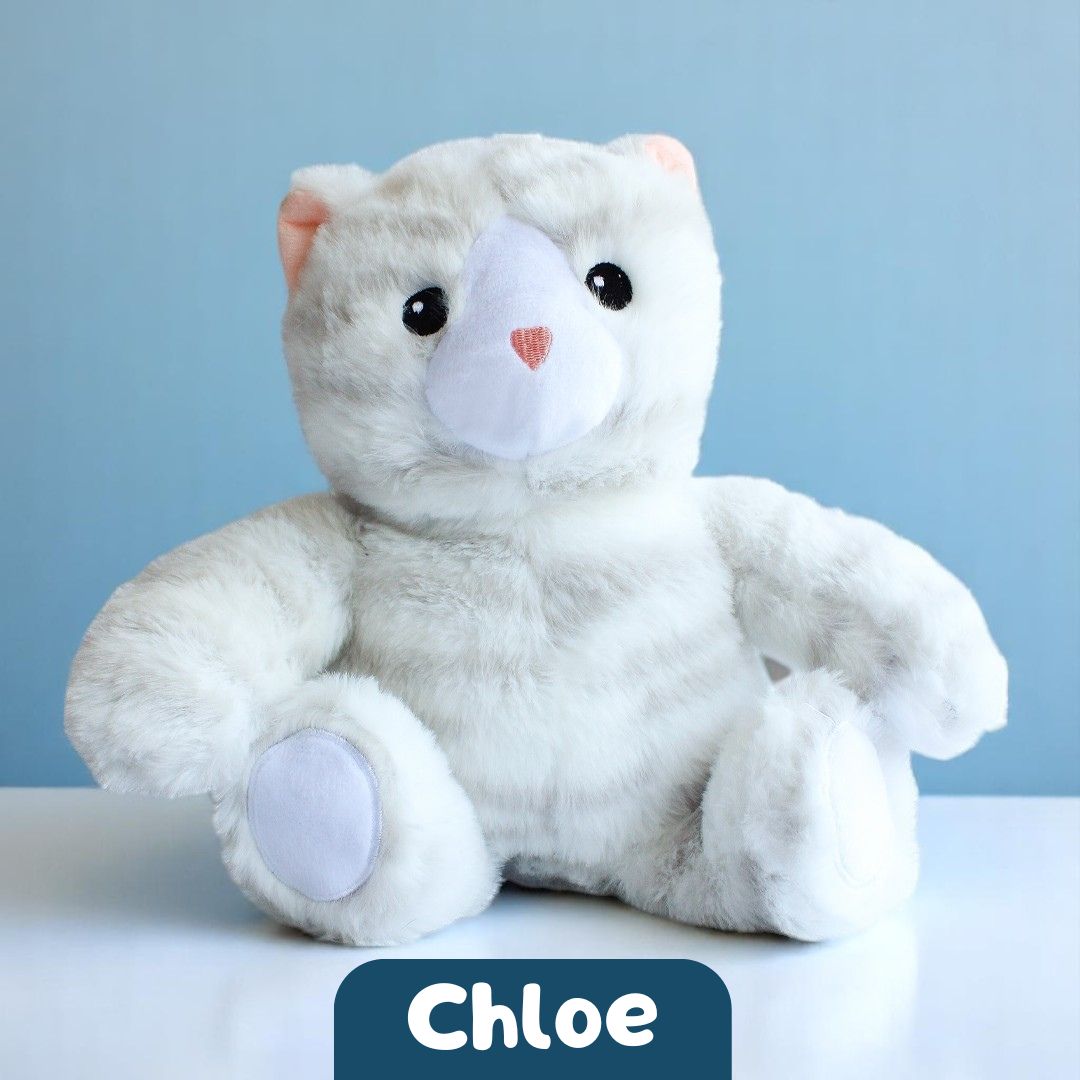 Chloe the Cat 🐱