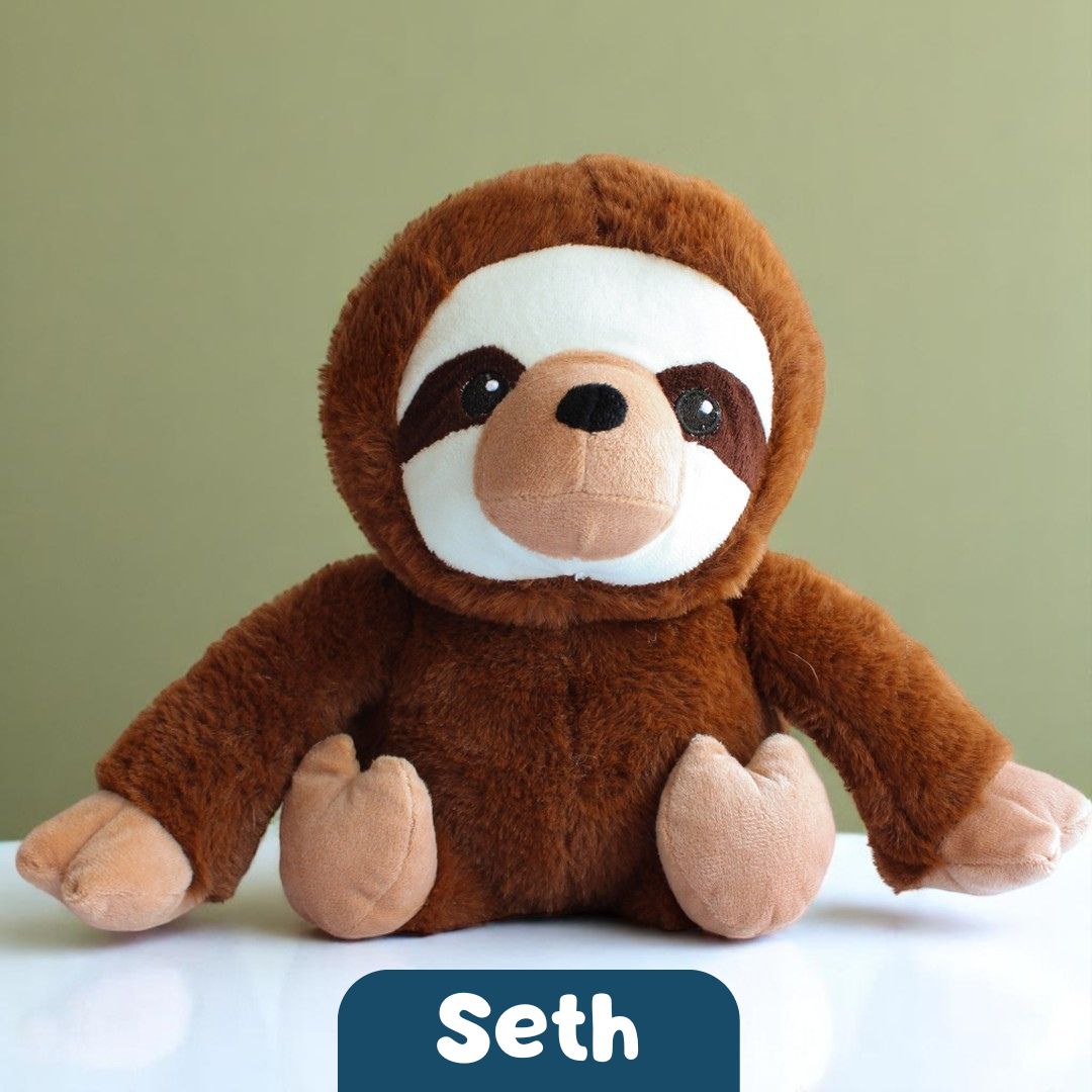 Seth the Sloth π¦₯