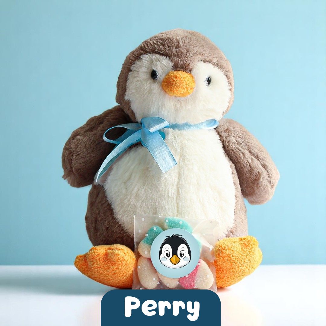 Perry the Penguin π§