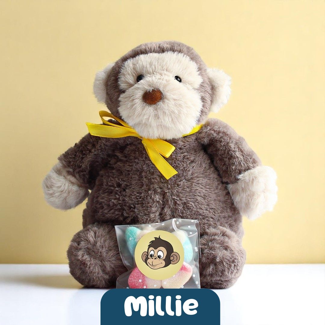 Millie the Monkey 🐵