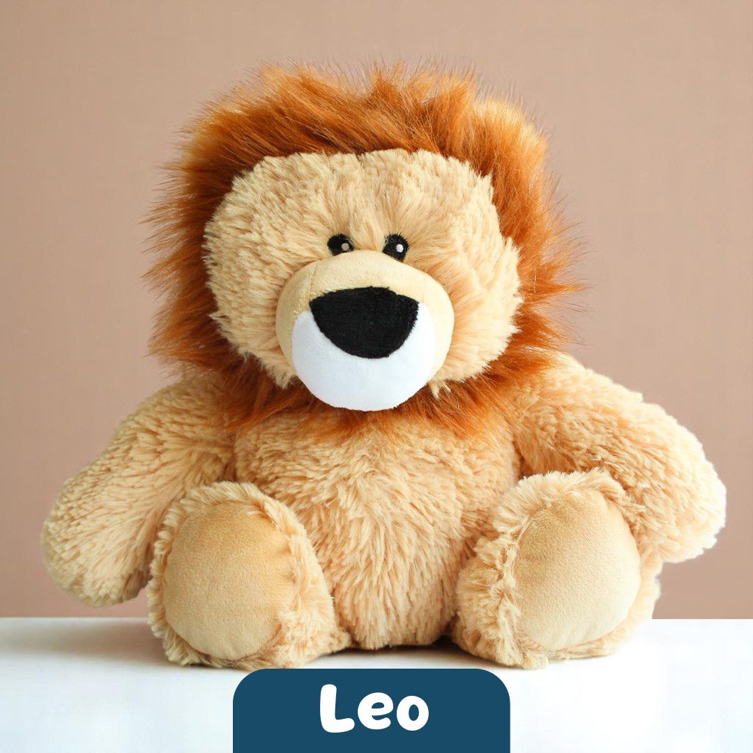 Leo the Lion π¦