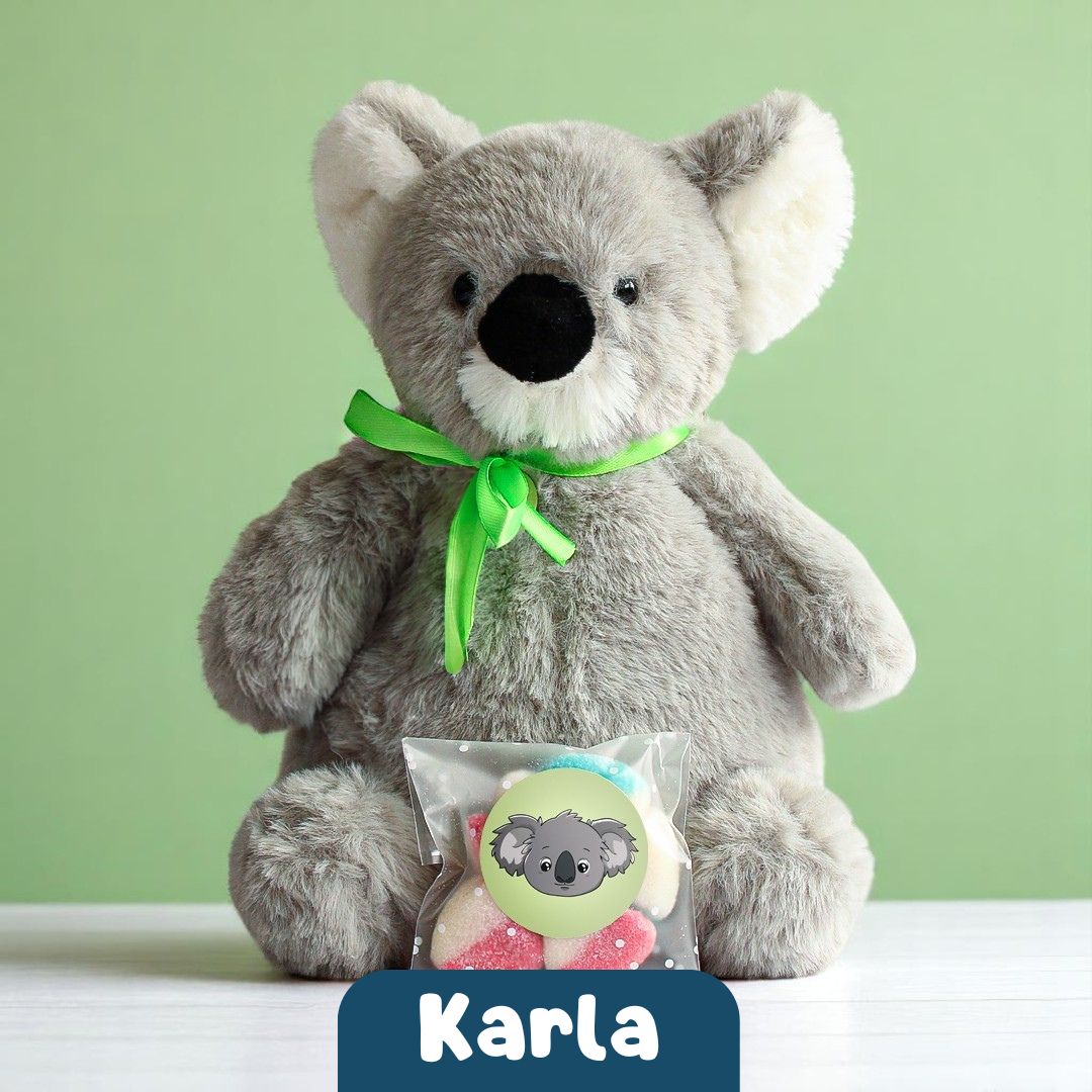 Karla the Koala 🐨