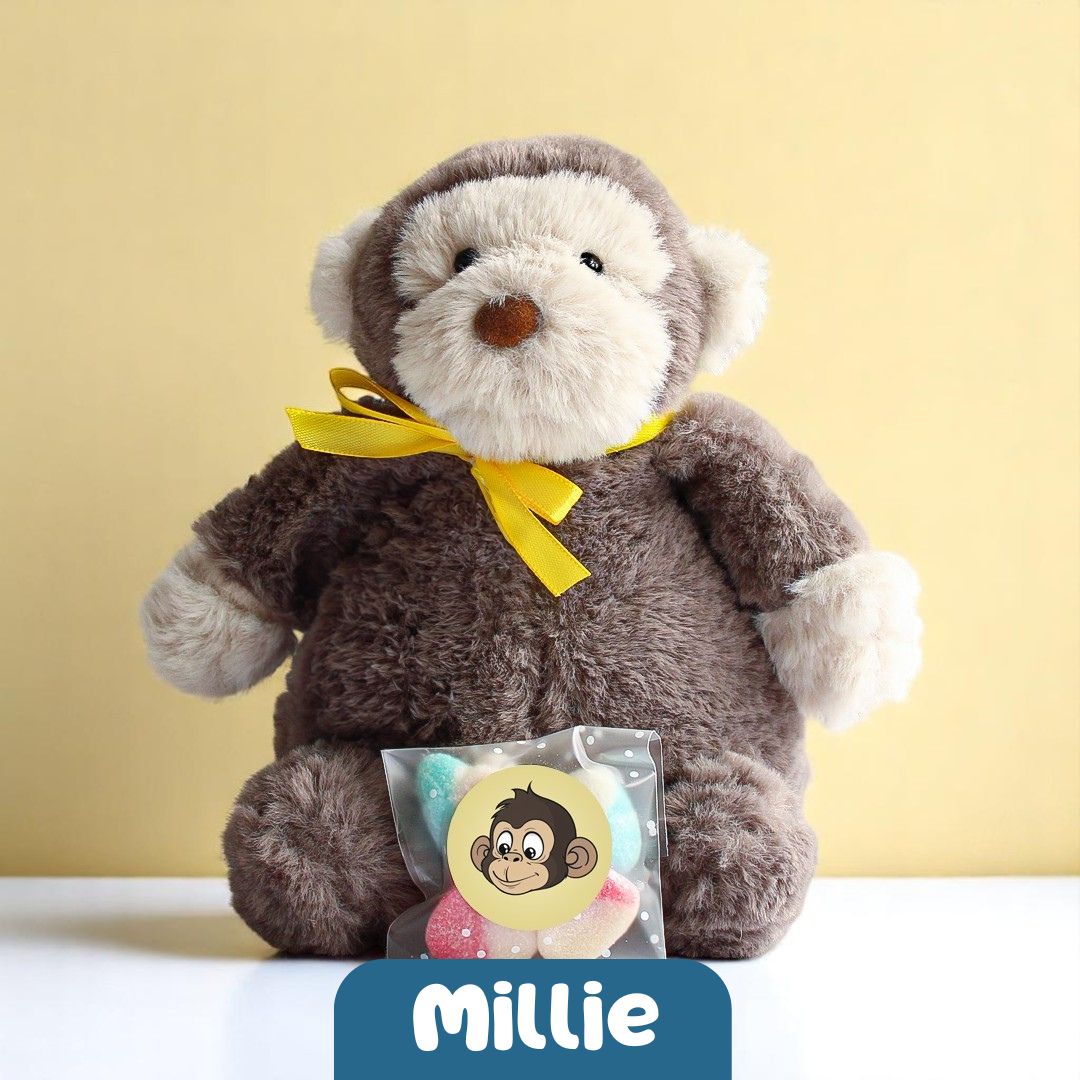 Millie the Monkey